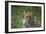 Leopard In Break-Andre Villeneuve-Framed Photographic Print