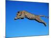 Premium Photographic Print