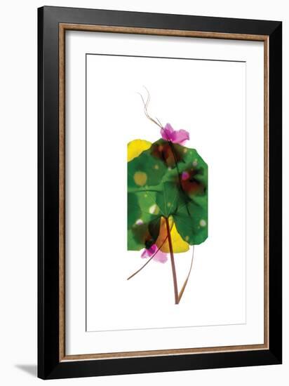 Leopard Leaf-Julia McLemore-Framed Art Print