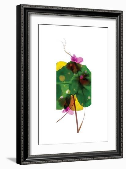 Leopard Leaf-Julia McLemore-Framed Art Print