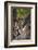 Leopard, Okavango Delta, Botswana-Art Wolfe-Framed Photographic Print