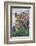 Leopard, Okonjima Nature Reserve. Otjozondjupa Region, Namibia.-Keren Su-Framed Photographic Print