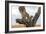 Leopard (Panthera Pardus) Family on Tree, Serengeti National Park, Tanzania-null-Framed Photographic Print