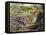 Leopard (Panthera Pardus), Felidae, Assaulting Black Caiman (Melanosuchus Niger), Alligatoridae-null-Framed Premier Image Canvas