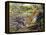 Leopard (Panthera Pardus), Felidae, Assaulting Black Caiman (Melanosuchus Niger), Alligatoridae-null-Framed Premier Image Canvas