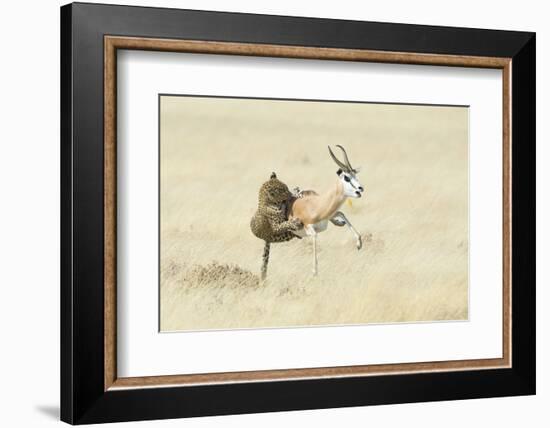 Leopard (Panthera Pardus) Hunting Springbok (Antidorcas Marsupialis) Etosha-Wim van den Heever-Framed Photographic Print