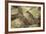 Leopard (Panthera Pardus) in a Fig Tree, Kruger National Park, South Africa, Africa-James Hager-Framed Photographic Print