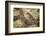 Leopard (Panthera Pardus) in a Fig Tree, Kruger National Park, South Africa, Africa-James Hager-Framed Photographic Print