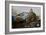 Leopard (Panthera Pardus) Lying on a Tree, Ndutu, Ngorongoro Conservation Area, Tanzania-null-Framed Photographic Print