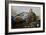 Leopard (Panthera Pardus) Lying on a Tree, Ndutu, Ngorongoro Conservation Area, Tanzania-null-Framed Photographic Print