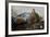 Leopard (Panthera Pardus) Lying on a Tree, Ndutu, Ngorongoro Conservation Area, Tanzania-null-Framed Photographic Print