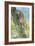 Leopard (Panthera Pardus) Moving Down a Tree, Ndutu, Ngorongoro Conservation Area, Tanzania-null-Framed Photographic Print