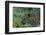 Leopard (Panthera pardus), Sabi Sands Game Reserve, South Africa, Africa-Sergio Pitamitz-Framed Photographic Print