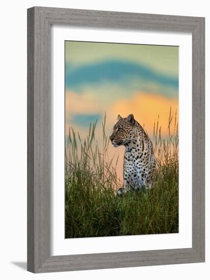 Leopard (Panthera Pardus), Serengeti National Park, Tanzania-null-Framed Photographic Print