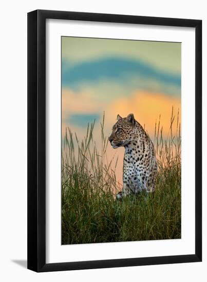 Leopard (Panthera Pardus), Serengeti National Park, Tanzania-null-Framed Photographic Print