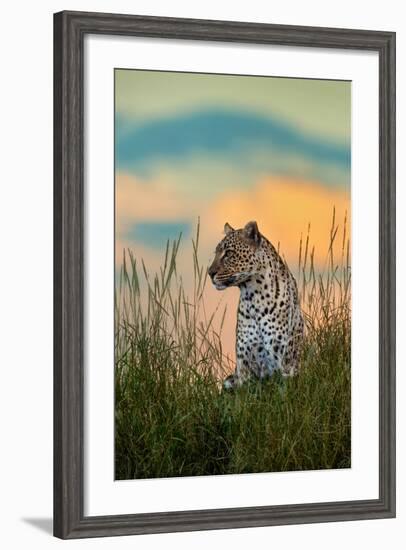 Leopard (Panthera Pardus), Serengeti National Park, Tanzania-null-Framed Photographic Print