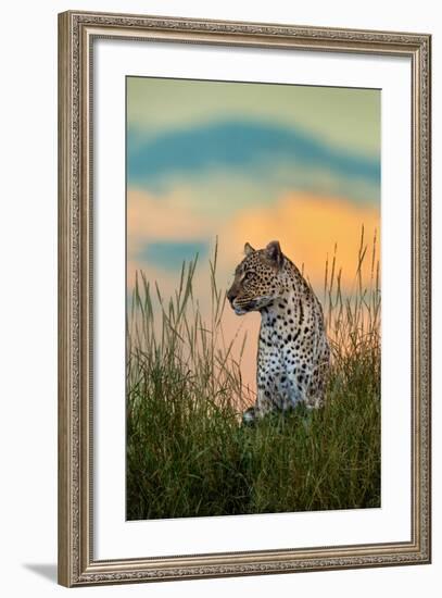 Leopard (Panthera Pardus), Serengeti National Park, Tanzania-null-Framed Photographic Print