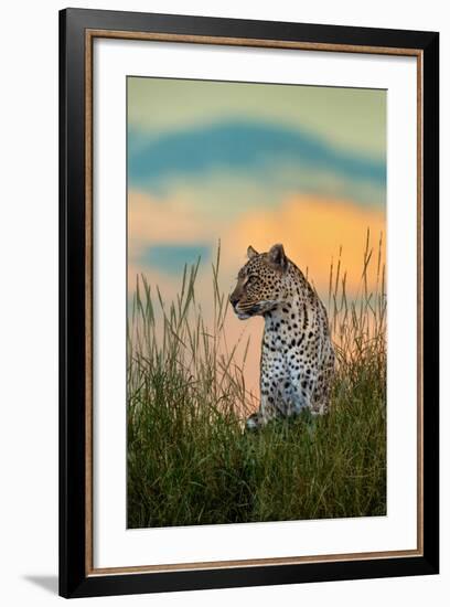 Leopard (Panthera Pardus), Serengeti National Park, Tanzania-null-Framed Photographic Print