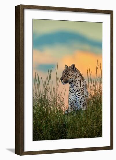 Leopard (Panthera Pardus), Serengeti National Park, Tanzania-null-Framed Photographic Print