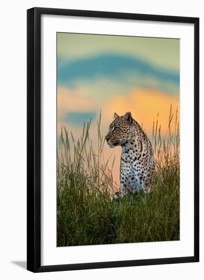 Leopard (Panthera Pardus), Serengeti National Park, Tanzania--Framed Photographic Print