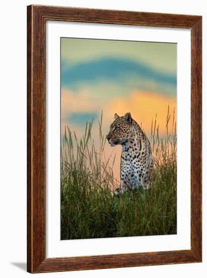 Leopard (Panthera Pardus), Serengeti National Park, Tanzania-null-Framed Photographic Print