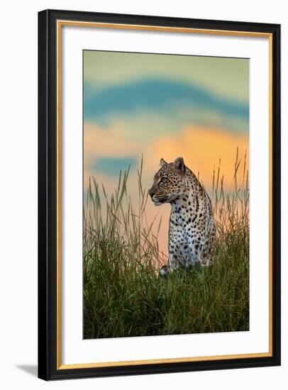 Leopard (Panthera Pardus), Serengeti National Park, Tanzania-null-Framed Photographic Print