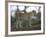 Leopard (Panthera Pardus) Standing on Log, Samburu Game Reserve, Kenya, East Africa, Africa-James Hager-Framed Photographic Print