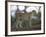 Leopard (Panthera Pardus) Standing on Log, Samburu Game Reserve, Kenya, East Africa, Africa-James Hager-Framed Photographic Print