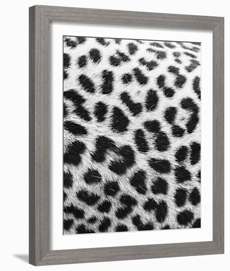 Leopard Patterns - Detail-Wink Gaines-Framed Giclee Print