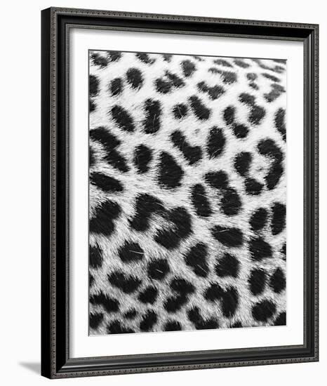 Leopard Patterns - Detail-Wink Gaines-Framed Giclee Print