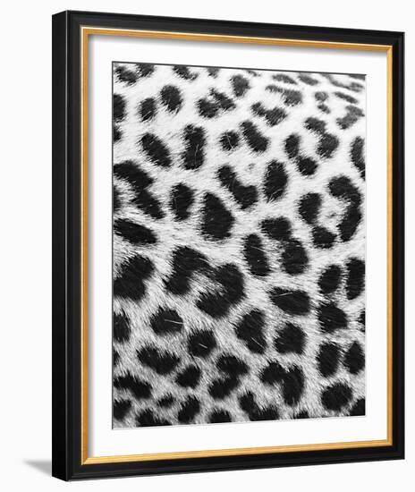 Leopard Patterns - Detail-Wink Gaines-Framed Giclee Print