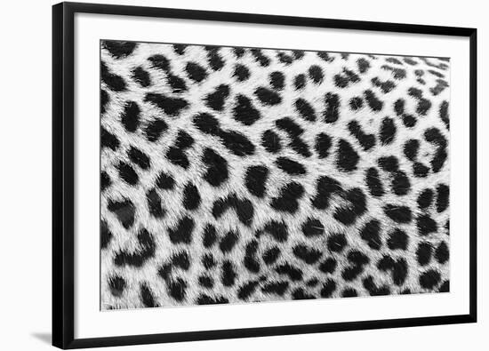 Leopard Patterns-null-Framed Giclee Print