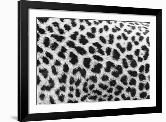 Leopard Patterns-null-Framed Giclee Print