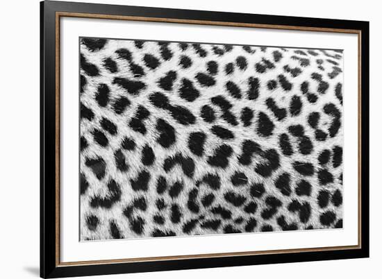 Leopard Patterns-null-Framed Giclee Print