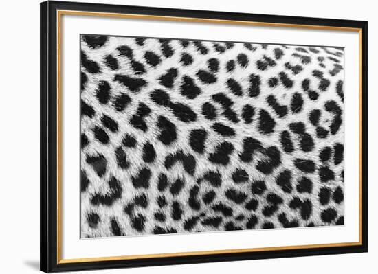 Leopard Patterns-null-Framed Giclee Print