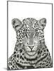 Leopard Portrait-Lucy Francis-Mounted Giclee Print