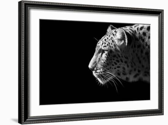 Leopard Portrait-Reddogs-Framed Premium Giclee Print