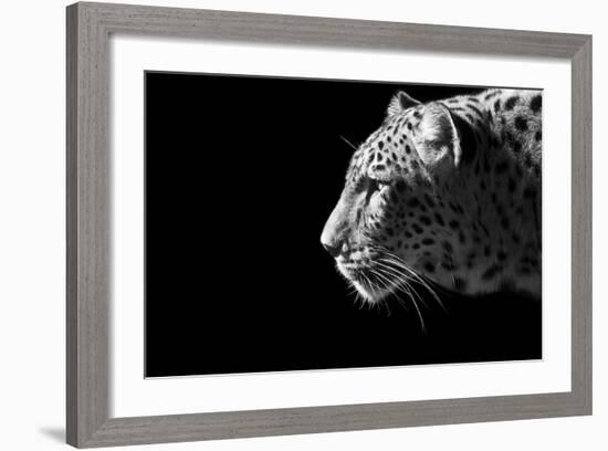 Leopard Portrait-Reddogs-Framed Premium Giclee Print