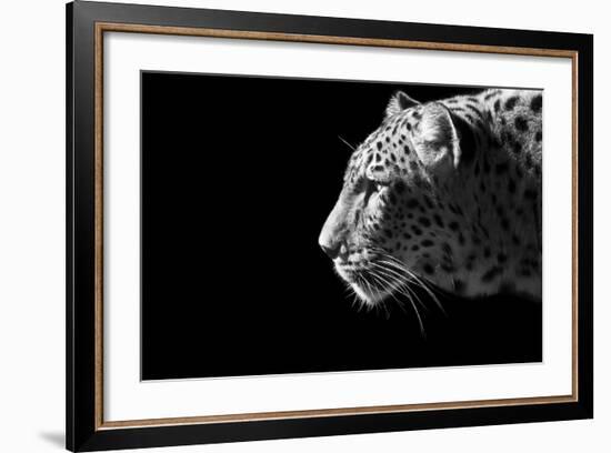 Leopard Portrait-Reddogs-Framed Premium Giclee Print