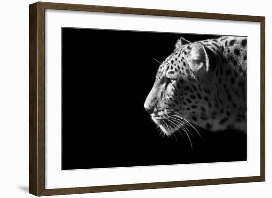 Leopard Portrait-Reddogs-Framed Premium Giclee Print
