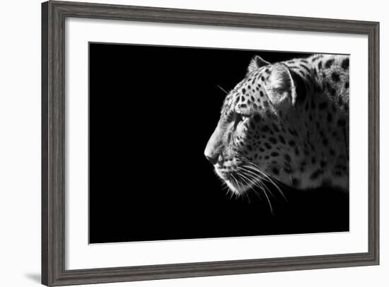 Leopard Portrait-Reddogs-Framed Art Print