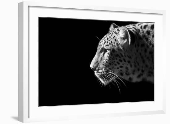 Leopard Portrait-Reddogs-Framed Art Print