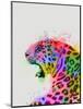 Leopard Rainbow Splash 2-Fab Funky-Mounted Art Print