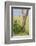 Leopard Resting 10 Feet Up in Acacia Tree, Grassy Plains Behind It-James Heupel-Framed Photographic Print