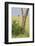 Leopard Resting 10 Feet Up in Acacia Tree, Grassy Plains Behind It-James Heupel-Framed Photographic Print