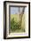 Leopard Resting 10 Feet Up in Acacia Tree, Grassy Plains Behind It-James Heupel-Framed Photographic Print