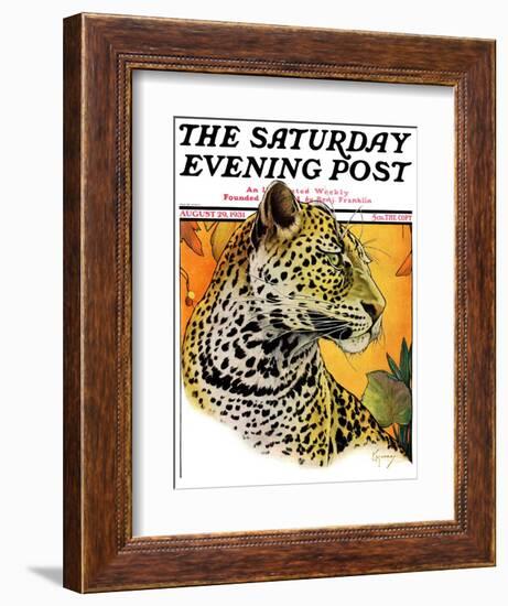 "Leopard," Saturday Evening Post Cover, August 29, 1931-Jack Murray-Framed Giclee Print