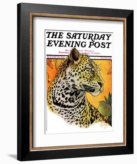 "Leopard," Saturday Evening Post Cover, August 29, 1931-Jack Murray-Framed Giclee Print