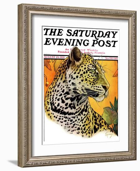 "Leopard," Saturday Evening Post Cover, August 29, 1931-Jack Murray-Framed Giclee Print