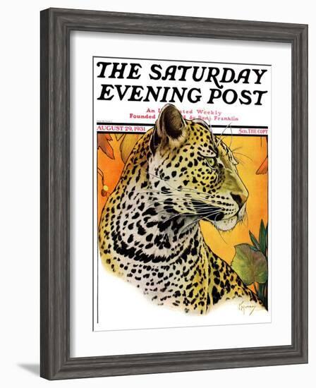 "Leopard," Saturday Evening Post Cover, August 29, 1931-Jack Murray-Framed Giclee Print